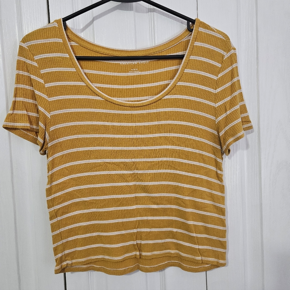 American Eagle Crop Top